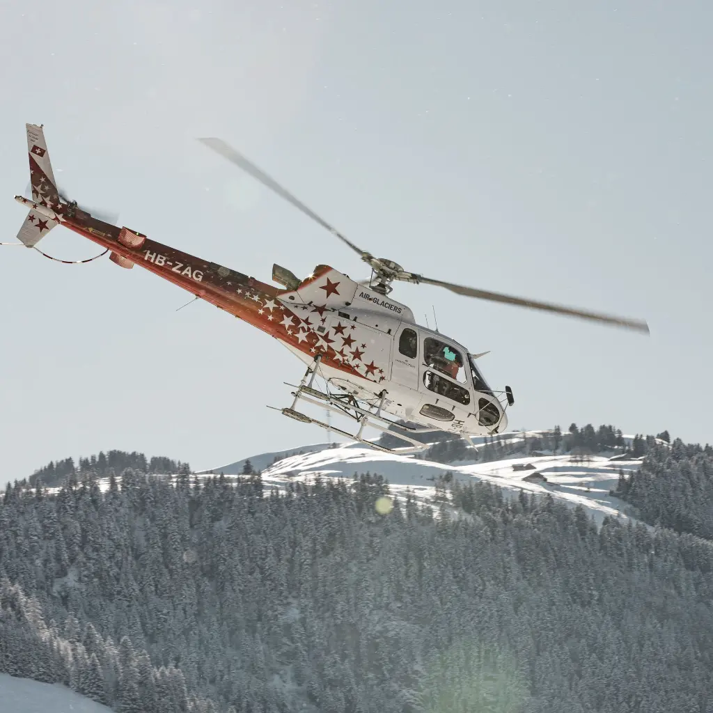 CR5A6154 QUADRAT.webp