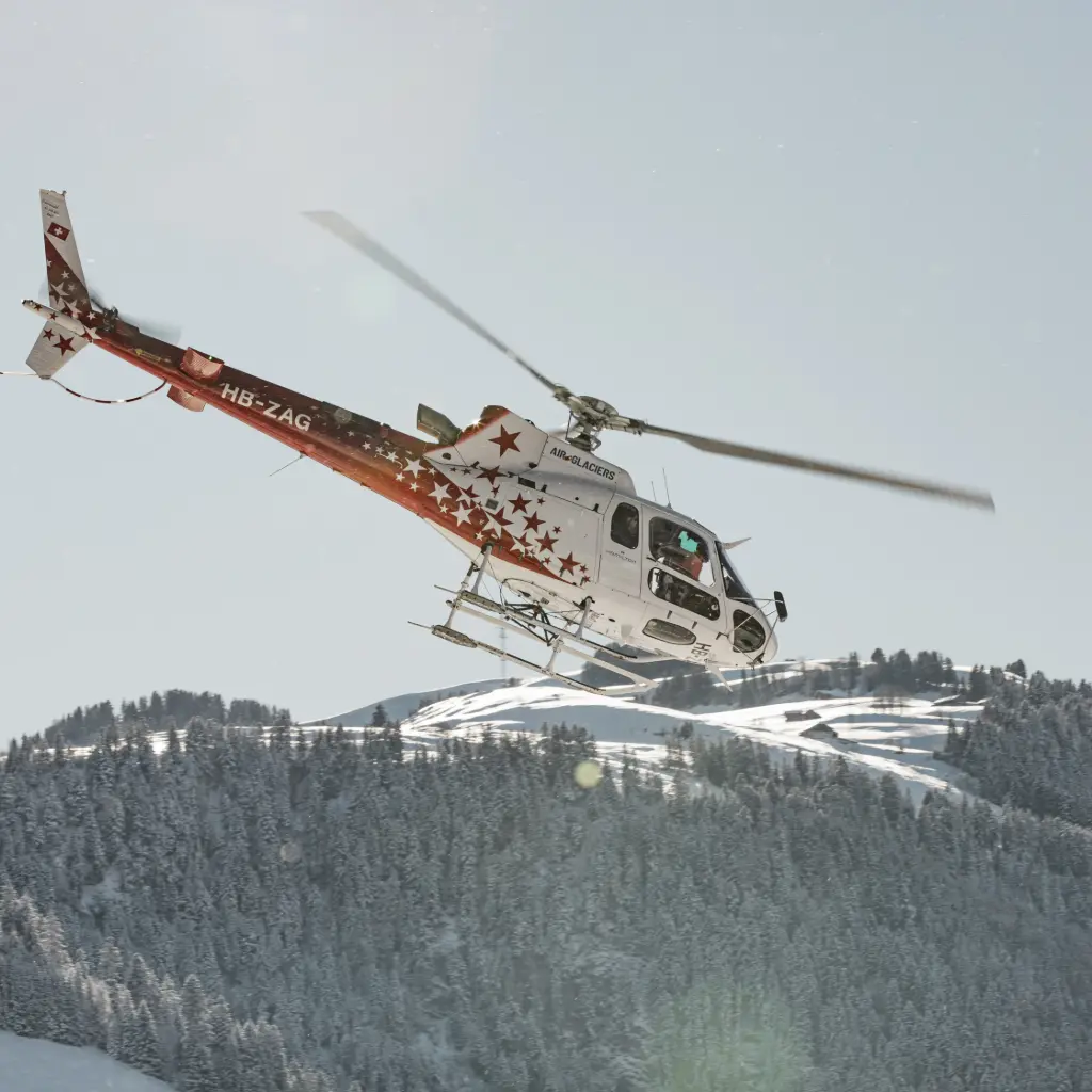 Gift voucher scenic flight (20 minutes)
